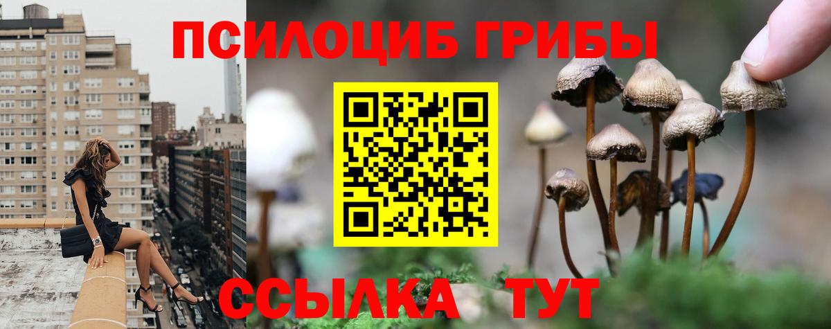 Чита  Псилоцибиновые грибы MAGIC MUSHROOMS  Вход с VPN 