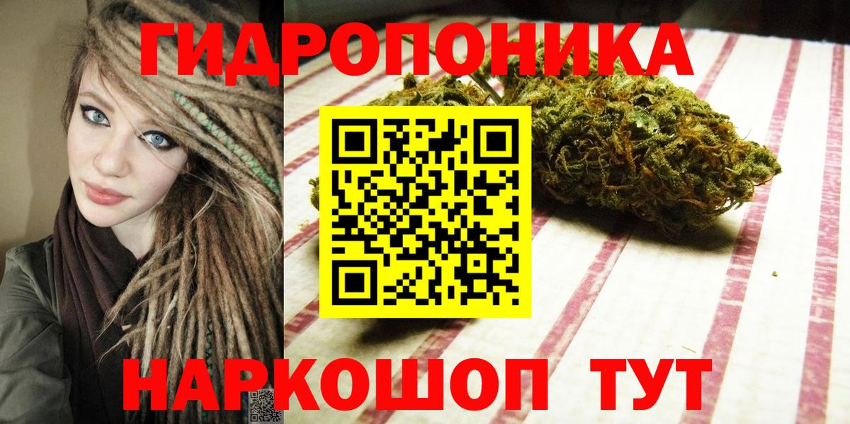 Каннабис индика Чита
